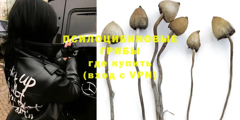 Галлюциногенные грибы MAGIC MUSHROOMS  Аткарск 